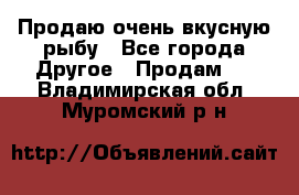 Продаю очень вкусную рыбу - Все города Другое » Продам   . Владимирская обл.,Муромский р-н